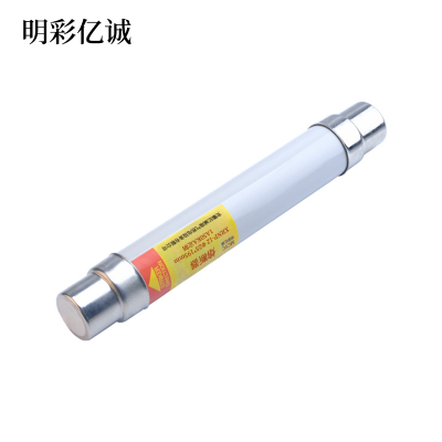 明彩亿诚 熔断器 XRNP-12 Φ25*195mm 1A50KA定制 根