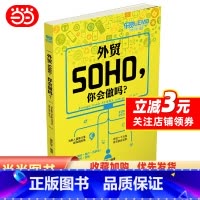 [正版]外贸SOHO,你会做吗?(《外贸SOHO一路通》作者力作,开启一个人的外贸创业之旅)