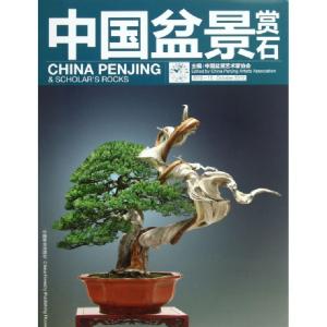 正版新书]中国盆景赏石2012-10中国盆景艺术家协会 主978750386