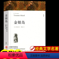 金银岛[218页] [正版]世界名著全套原著 完整版无删减初中生高中生阅读课外书 朝花夕拾 西游记 昆虫记 艾青诗选水浒