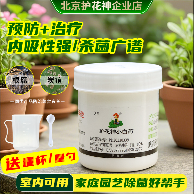 护花神小白药2杀菌剂多肉花卉植物通用月季黑斑病烟煤黑腐病花药