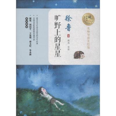 旷野上的星星/暖心美读书(名师导读美绘版)