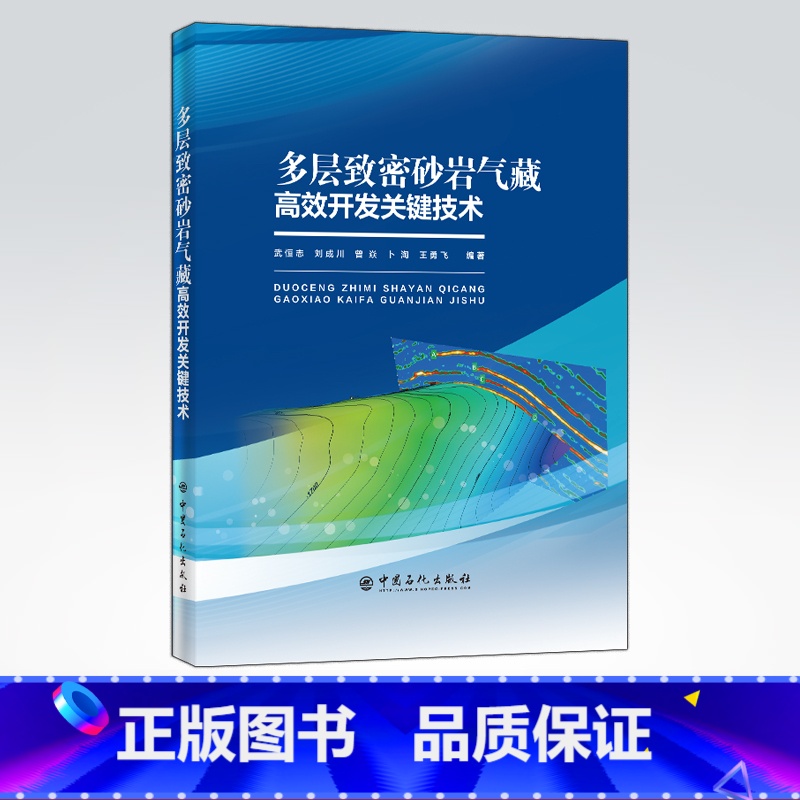 [正版]多层致密砂岩气藏高效开发关键技术 适合从事油气勘探开发工作的技术、管理人员及石油相关专业在校学生阅读