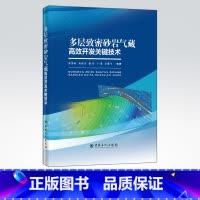 [正版]多层致密砂岩气藏高效开发关键技术 适合从事油气勘探开发工作的技术、管理人员及石油相关专业在校学生阅读