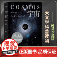 宇宙(精装版) 卡尔·萨根 450幅彩色插图 天文科普名著 高分纪录片 宇宙的前世今生 探索宇宙 大爆炸 霍金、刘慈欣