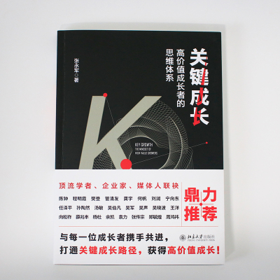 关键成长:高价值成长者的思维体系