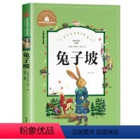 [彩图注音版]兔子坡 [正版] 大林和小林张天翼著注音彩图版张天翼著一年级二年级课外书读儿童读物6-7-8-10岁小学生