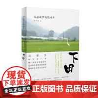 下田:写给城市的稻米书 周华诚 生活书店出版有限公司 正版书籍