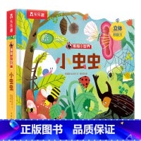 揭秘小世界第四辑-小虫虫 [正版] 3d立体书揭秘儿童翻翻书系列小虫虫3-6-8-10岁以上少年生物世界科普百科全书籍小