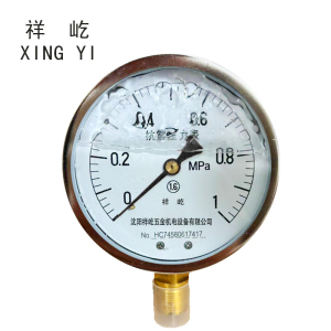 祥屹+耐震压力表检测定制型+YTN100+块