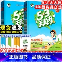 数学·人教版 三年级上 [正版]53天天练三年级上册语文数学英语全套人教版苏教版北师同步训练小学3年级五三5.3练习册试
