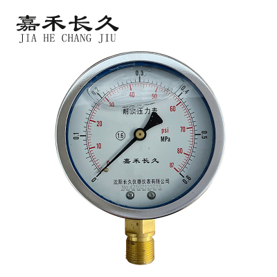 嘉禾长久 耐震压力表检测型 YTN100 块