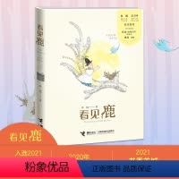 [正版]接力出版社看见鹿 旅行的开始月亮的山谷迷路的星星儿童文学童话小说小学生课外阅读想象力亲近母语一年级自主阅读