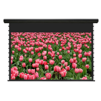 经科JK电动遥控拉线投影幕布H3-AT/2t拉绳透声幕编织白幕150寸4:3