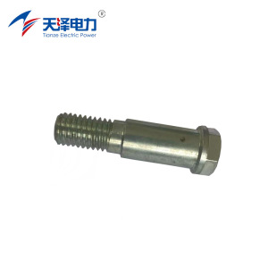 天泽电力 柱塞螺丝 5.30.11300.106 件