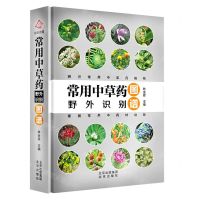 [N]常用中草药野外识别图谱(精)-9787200156331