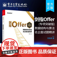 正版 剑指Offer 专项突破版 数据结构与算法名企面试题精讲 何海涛著 程序员面试编程面试题基础知识代码质量解题书籍