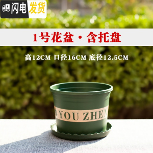 三维工匠塑料矮胖加仑花盆绿萝月季花多肉育苗盆加厚小加仑盆 矮胖1号口径16含托6个装[满十送一] 大花盆容器