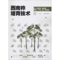 正版新书]西南桦培育技术庞正轰9787503897283