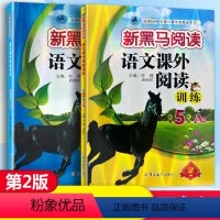 语文课外阅读训练A版+B版 小学五年级 [正版]2024新版 新黑马阅读语文课外阅读训练小学5年级A版B版五年级上册下册