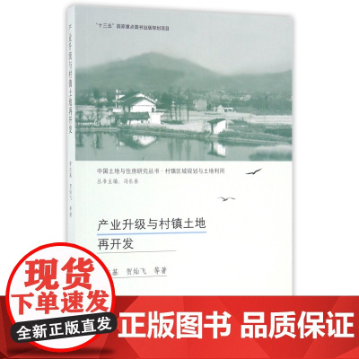 产业升级与村镇土地再开发/中国土地与住房研究丛书