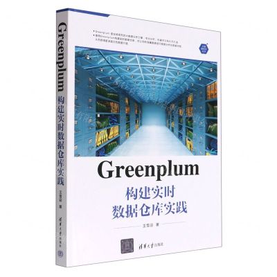 [N]Greenplum构建实时数据仓库实践/大数据技术丛书-9787302611653