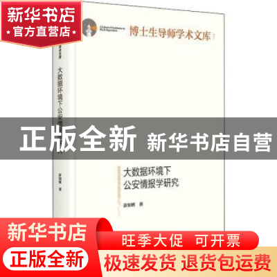 正版 大数据环境下公安情报学研究 彭知辉 光明日报出版社 978751