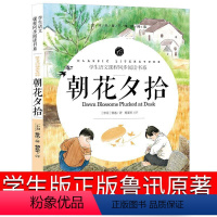 朝花夕拾 [正版]朝花夕拾六年级七年级上册鲁迅原著小学生版课外书人民的文学书籍教育无删减带解析从百草园到三味书屋藤野先生