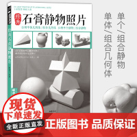 石膏几何体静物照片书画素描专用专业摄影对画照片图书 杨建飞主编