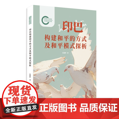 印巴构建和平的方式及和平模式探析
