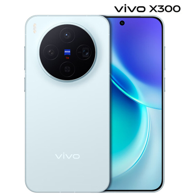 vivo X300 12GB+512GB 自在蓝 6040mAh电池 天玑9500 蔡司2亿主摄 持久流畅 拍照 AI 5G手机