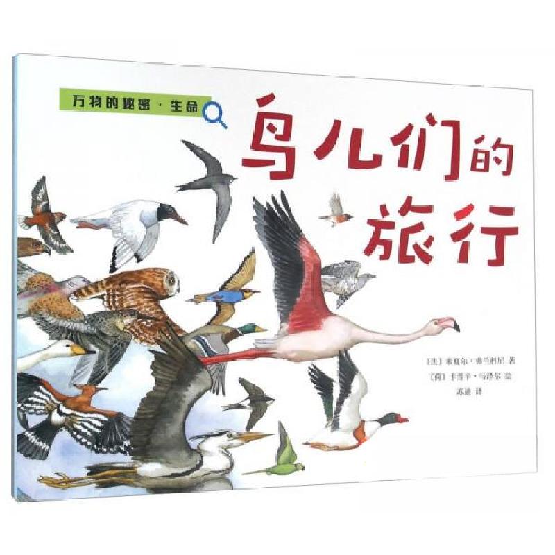 正版新书]鸟儿们的旅行[法]米夏尔·弗兰科尼 著;苏迪 译;[荷