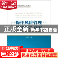 正版 操作风险管理中国化探索:中国商业银行操作风险研究 阎庆民