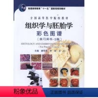 [正版]组织学与胚胎学彩色图谱(实习用书)(2版) 唐军民//李英//卫兰 著 著 影像医学生活 书店图书籍 北京大学