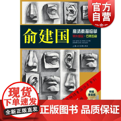 石膏五官/俞建国高清素描临摹单片组合