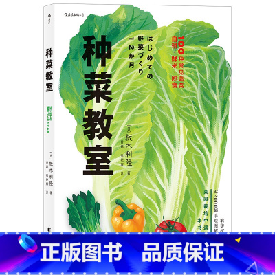 [正版] 种菜教室 彩色插图园艺家庭菜园种植生活类书籍