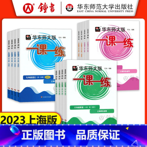 [2册] 数学(普通+增强) 七年级下 [正版]2023华东师大版一课一练六年级上七年级上册八九年级物理 语文数学英语化