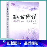 最美古诗词 初中通用 [正版]2023版佳佳林作文美古诗词初中七八九年级上册下册经典诵读美文同步训练练习中学生读本课外阅