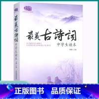 最美古诗词 初中通用 [正版]2023版佳佳林作文美古诗词初中七八九年级上册下册经典诵读美文同步训练练习中学生读本课外阅