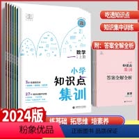 数学知识点集训 一年级上 [正版]2024版53小学一二三四五六年级上册数学知识点集训全国通用版 五三天天练三年级上册数
