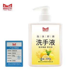 哈铁亿农 洗手液 500g 瓶