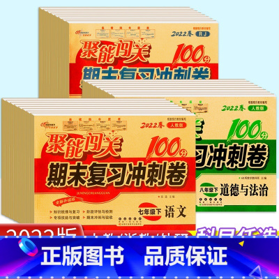 [单本]英语外研版 九年级上 [正版]新版聚能闯关期末复习冲刺卷100分七年级八年级九年级初一初二三上下册数学语文英语政