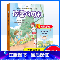 惊喜的周末 [正版]大数学思维-惊喜的周末 小学生课外读物 儿童书籍 帮帮忙童书馆编/新蕾出版社