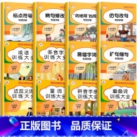 小学语文专项练 [全12册] 小学通用 [正版]成语训练大全 小学生词语知识积累 通用语文字词专项训练重叠词训练大全aa