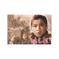 醉染图书鸡毛信9787516208