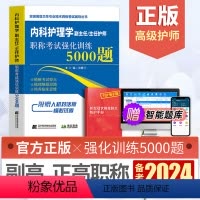 [正版]备考2024年副高级职称考试内科护理学5000题副主任主任护师职称考试强化训练5000题副高内科护理学卫生高级