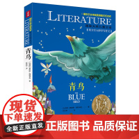 青鸟/国际大奖儿童文学 7-14岁阅读天地出版社