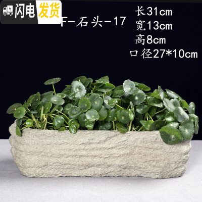 三维工匠水仙花盆铜钱水培花盆水养仿石头盆景碗莲睡莲个性创意陶瓷无孔 F-石头-17 大花盆容器