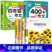 [全6册]青铜葵花+宝葫芦的秘密+小英雄雨来+灰尘的旅行+四年级作文+400字作文 [正版]青铜葵花曹文轩 四年级阅读课