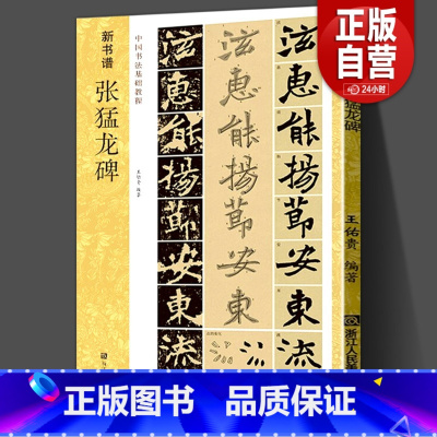 [正版]张猛龙碑帖 新书谱中国书法基础教程 北魏碑毛笔字帖 张猛龙原碑帖技法精讲 书法集字高清放大旁注章法结构楷书入门